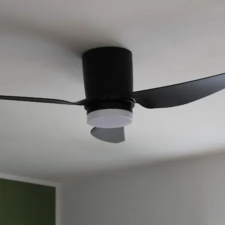 Dalmatian With Private Parking