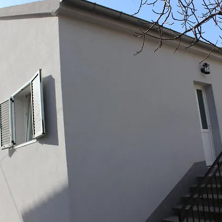 Dalmatian With Private Parking