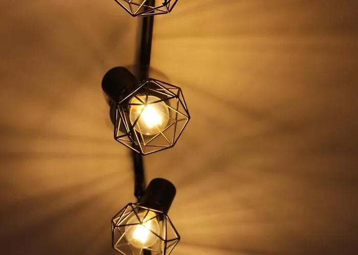 Dalmatian With Private Parking 希贝尼克