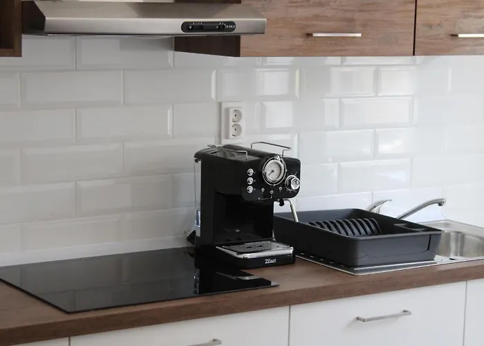 Apartman Dalmatian With Private Parking *