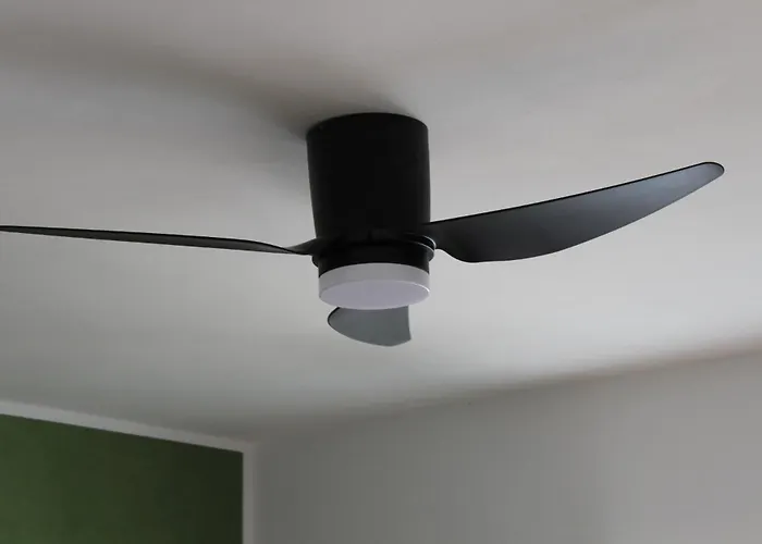 Dalmatian With Private Parking