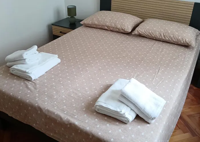 Dalmatian With Private Parking