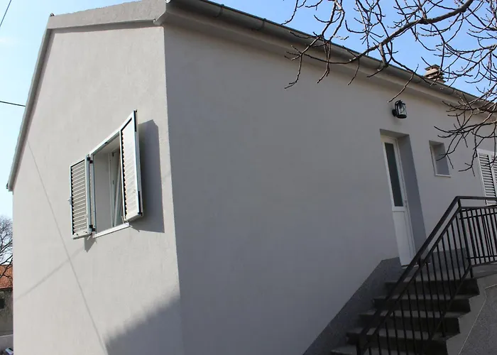 Dalmatian With Private Parking